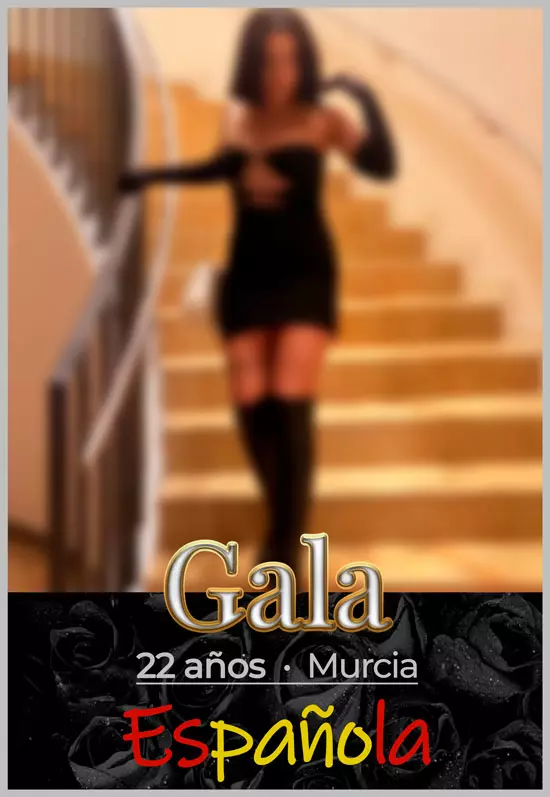 Gala no